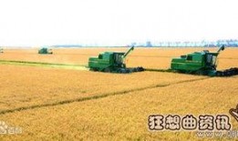 黑龙江农场爆料事件最新,揭露背后惊人真相